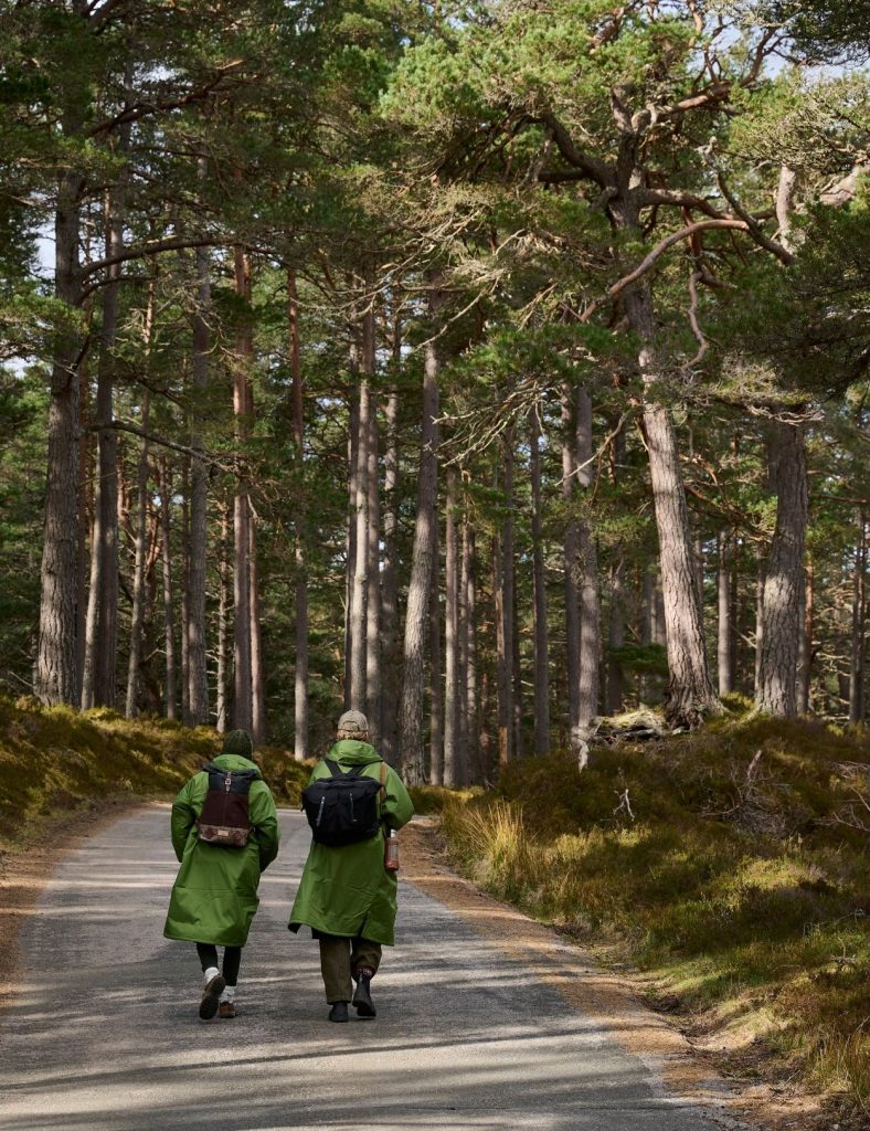 Guided walk before an afternoon of wild swimming