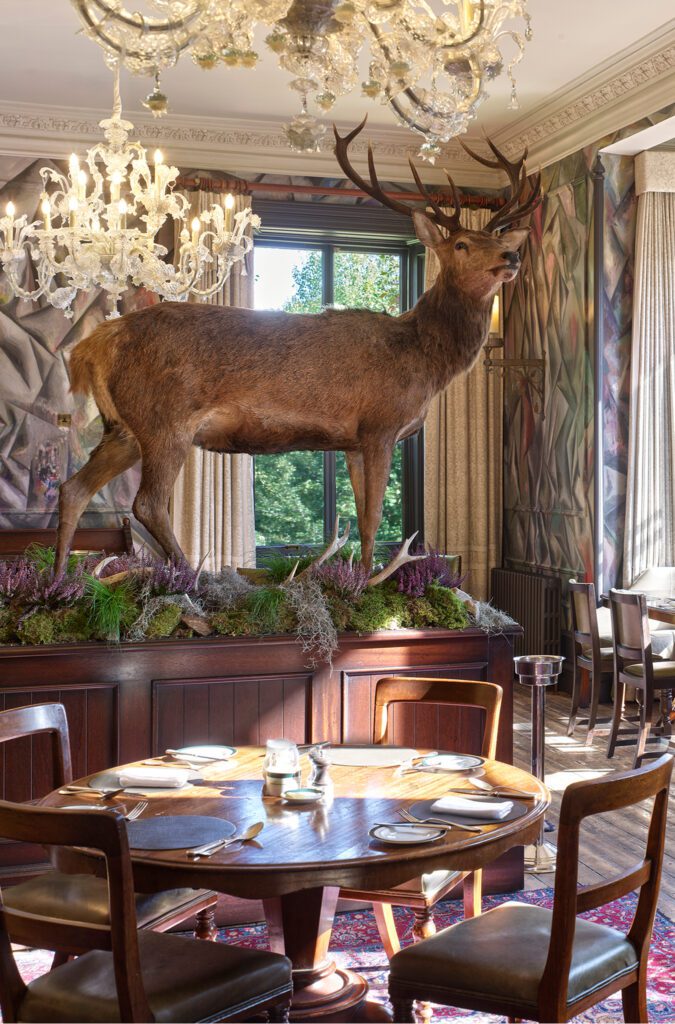 The Clunie Dining Room during the day with the stag on show and chandelier in the background