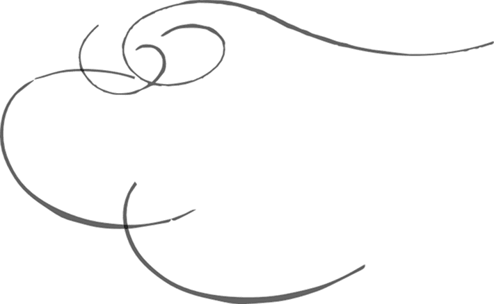 A black flourish line detail.