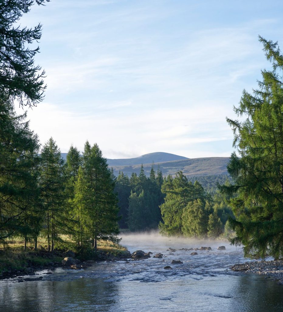 River Dee with trees surrounding it, shot on a misty morning