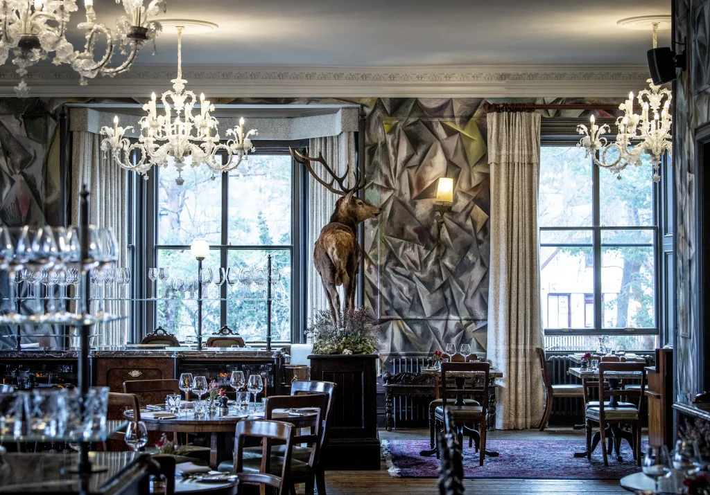 Stag in the middle of a painted dining room