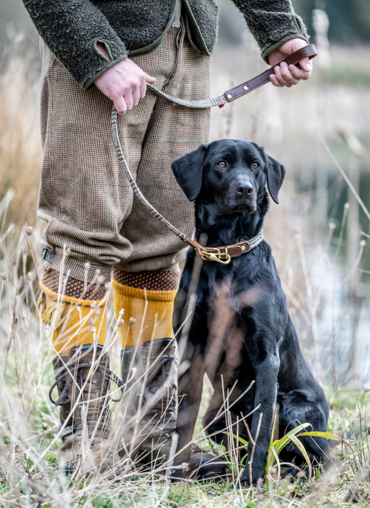 A black dog on a tweed lead beside its owner
