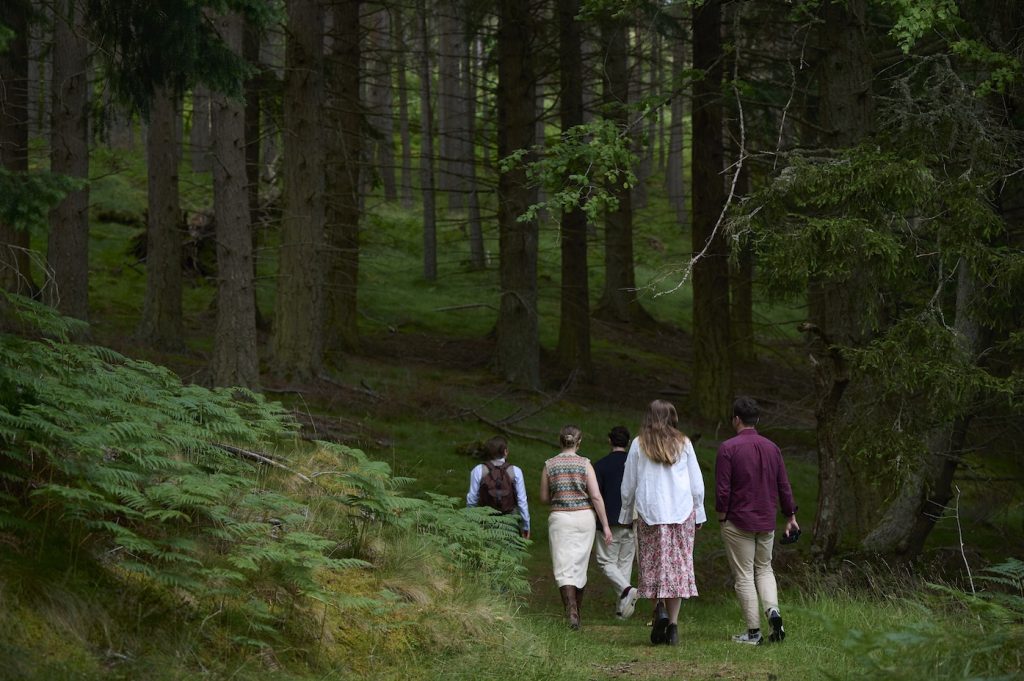 A group of five people chatting and walking through the woods.