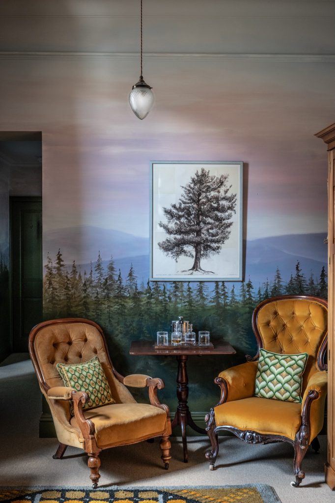 Two chairs in the David Douglas Nature and Poetry bedroom