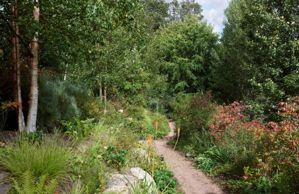 A path leading through the garden