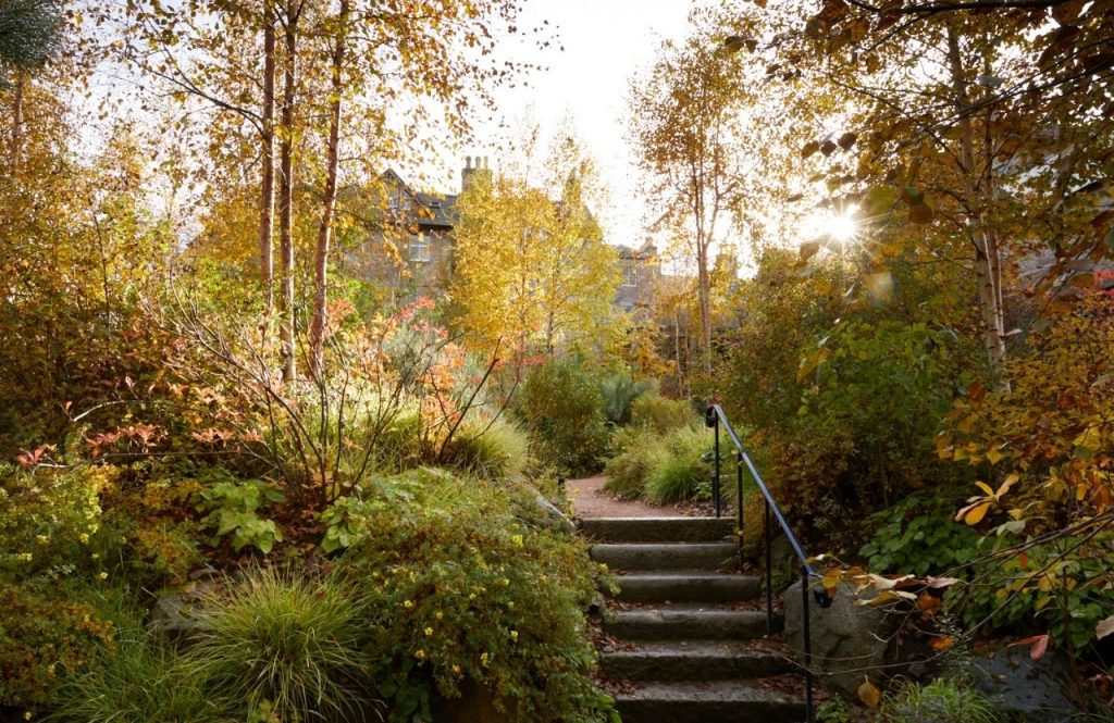 The garden in autumn