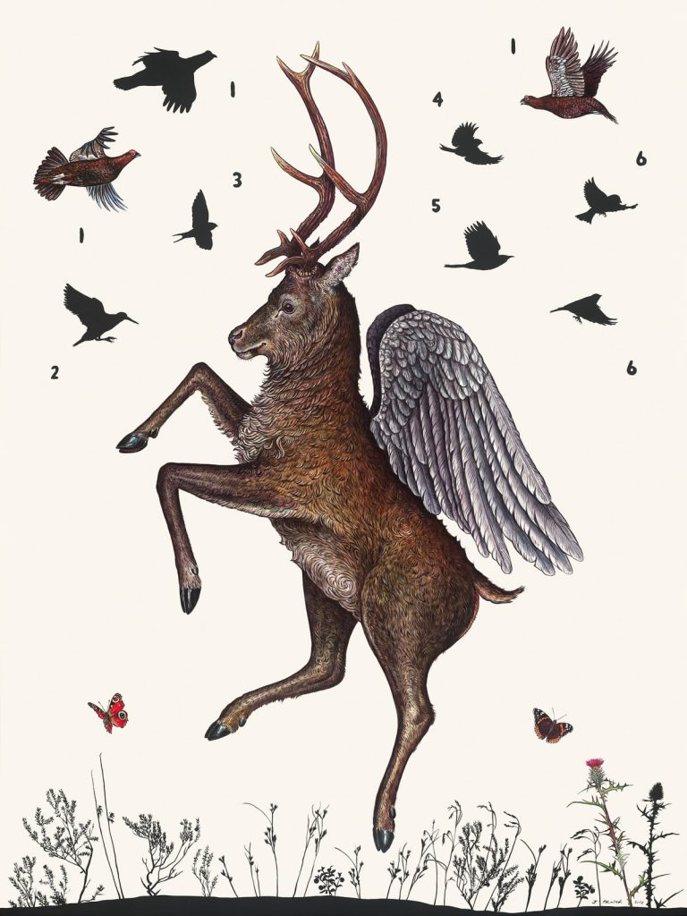 James Prosek's Flying Stag with native birds surrounding the stag