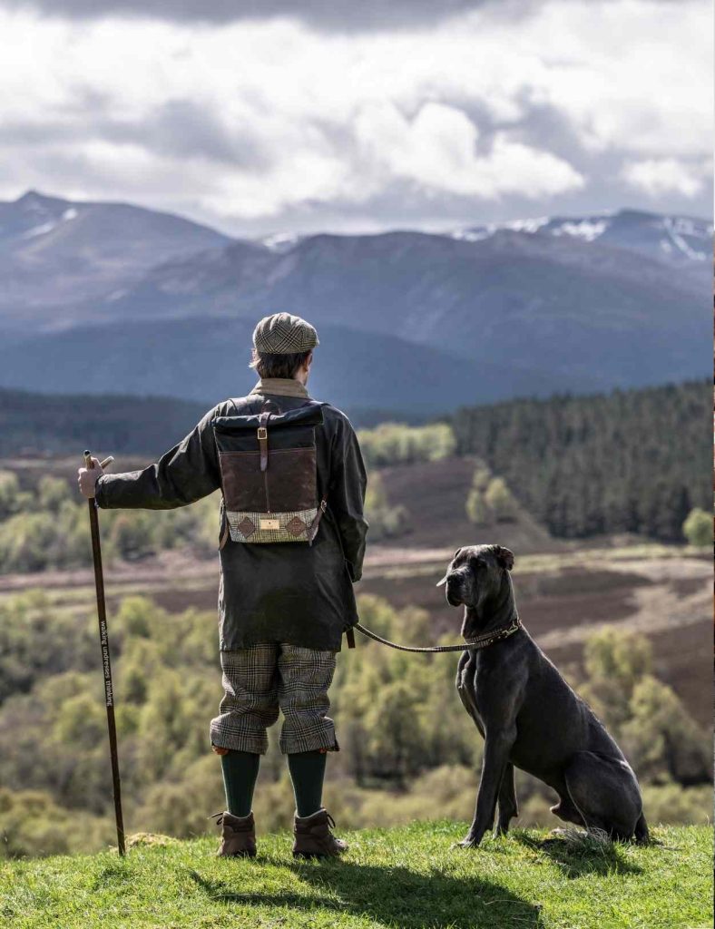 A Great Dane dog on the hills with a guest
