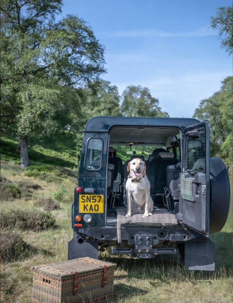 Dog in the back of a Land Rover ready for a walk in the Cairngorms National Park