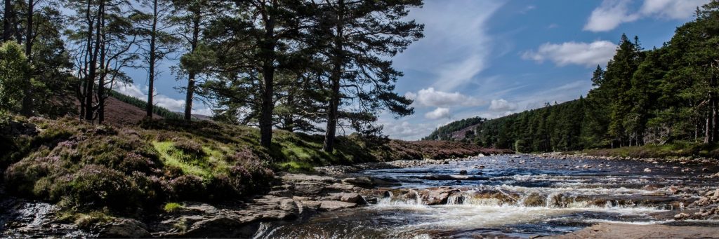 A waterfall in the cairngorms national park with trees and blue sky in the background