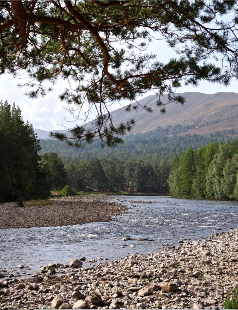 A river winds through a rocky shoreline surrounded by dense green trees, with mountains rising in the background under a partly cloudy sky.