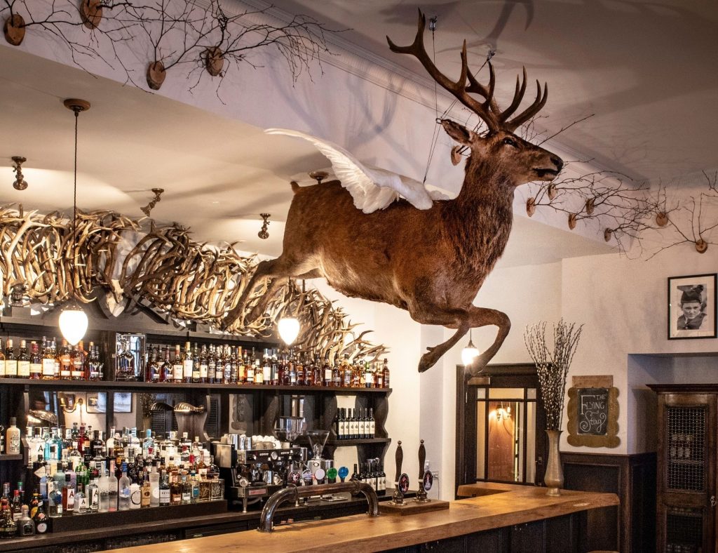 A stuffed flying stag hung above the bar of the pub with bottles of spirits and a wall of antlers in the background.